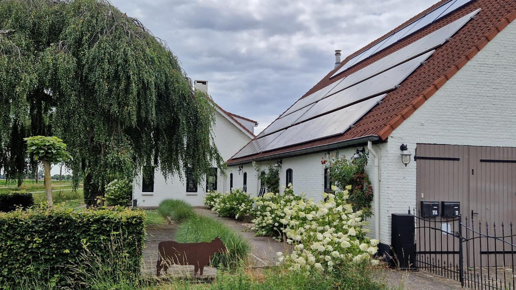 Bed and Breakfast Mariafarm Zevenbergen Zewnętrze zdjęcie